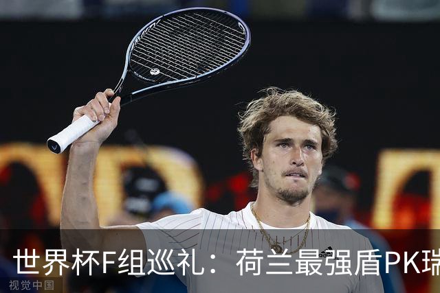 世界杯F组巡礼：荷兰最强盾PK瑞典犀利刀 日本短板明显