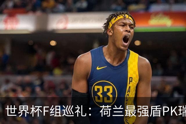 世界杯F组巡礼：荷兰最强盾PK瑞典犀利刀 日本短板明显